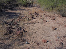 photo thumbnail #8