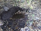 photo thumbnail #6