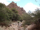 photo thumbnail #2