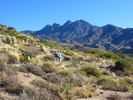 photo thumbnail #3