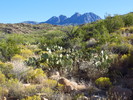 photo thumbnail #7