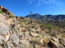 photo thumbnail #13