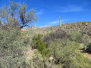 photo thumbnail #10