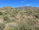 photo thumbnail #14