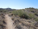 photo thumbnail #7