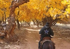 photo thumbnail #6