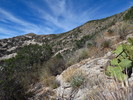 photo thumbnail #13