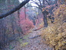 photo thumbnail #10