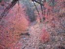 photo thumbnail #11