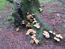 photo thumbnail #7