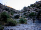 photo thumbnail #2