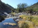 photo thumbnail #3