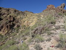 photo thumbnail #12