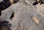 photo thumbnail #15