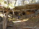 photo thumbnail #8