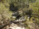 photo thumbnail #9
