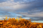 photo thumbnail #4