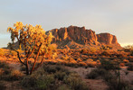 photo thumbnail #5