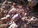 photo thumbnail #15