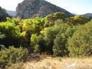 photo thumbnail #13
