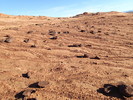 photo thumbnail #11