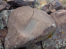 photo thumbnail #11