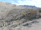 photo thumbnail #14