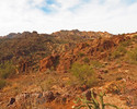 photo thumbnail #6