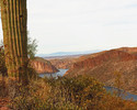 photo thumbnail #12