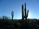 photo thumbnail #4