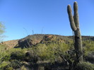 photo thumbnail #7