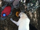 photo thumbnail #5
