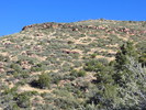 photo thumbnail #3
