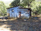 photo thumbnail #10