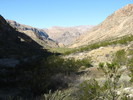 photo thumbnail #5