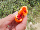 photo thumbnail #12