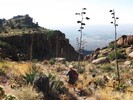 photo thumbnail #8