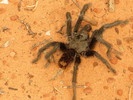 photo thumbnail #4