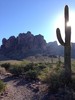 photo thumbnail #9