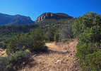 photo thumbnail #5