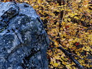photo thumbnail #12