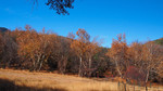 photo thumbnail #14