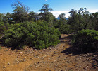 photo thumbnail #7