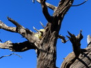 photo thumbnail #3