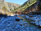 photo thumbnail #7