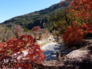photo thumbnail #13