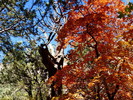 photo thumbnail #14