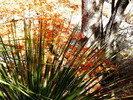 photo thumbnail #15