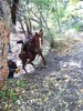 photo thumbnail #10