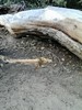photo thumbnail #15